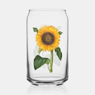 Vintage Sunflower Botanical Art by Merian Can Glass