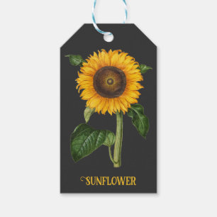 Vintage Sunflower Botanical Art by Merian Gift Tags