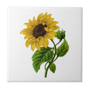 Vintage Sunflower Custom Gift Item Tile