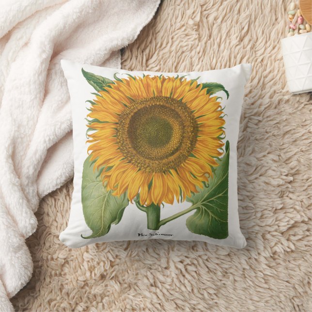 Vintage Sunflower Flower by Basilius Besler Cushion (Blanket)