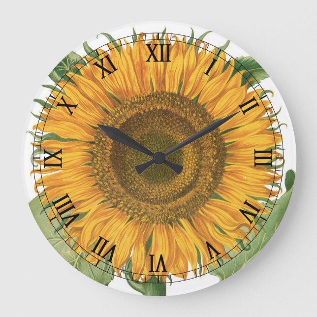 Vintage Sunflower Flower by Basilius Besler Large Clock (Front)