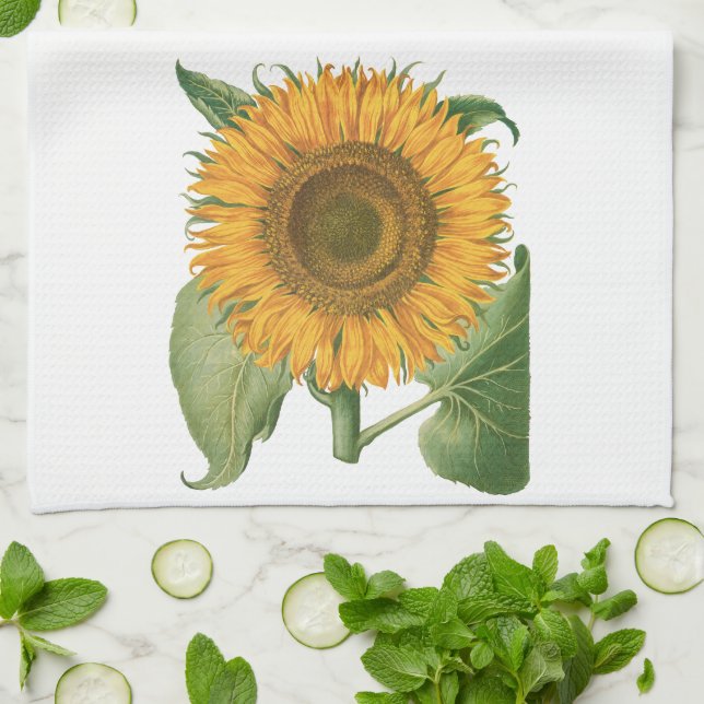Vintage Sunflower Flower by Basilius Besler Tea Towel (Folded)