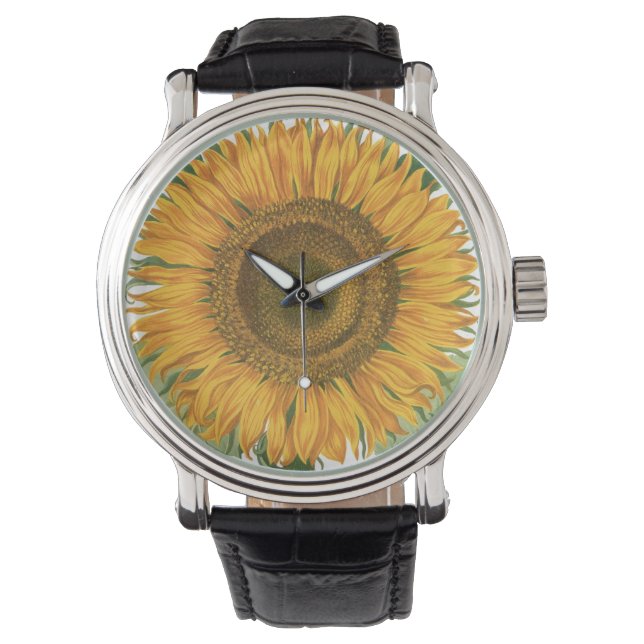 Vintage Sunflower Flower by Basilius Besler Watch (Front)