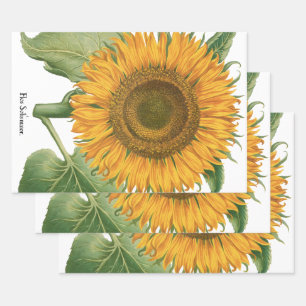 Vintage Sunflower Flower by Basilius Besler Wrapping Paper Sheet