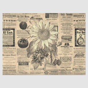 Vintage Sunflower Horticulture Ads Ephemera Tissue Paper