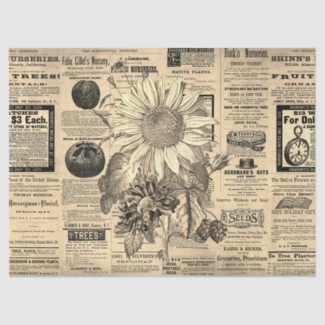 Vintage Sunflower Horticulture Ads Ephemera  Tissue Paper (Front)