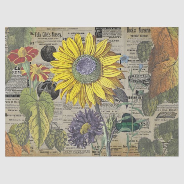 Vintage Sunflower Horticulture Ads Ephemera  Tissue Paper (Front)