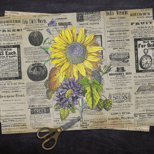 Vintage Sunflower Horticulture Ads Ephemera Tissue Paper