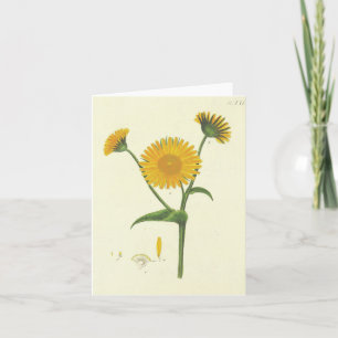 Vintage Sunflower Note Cards