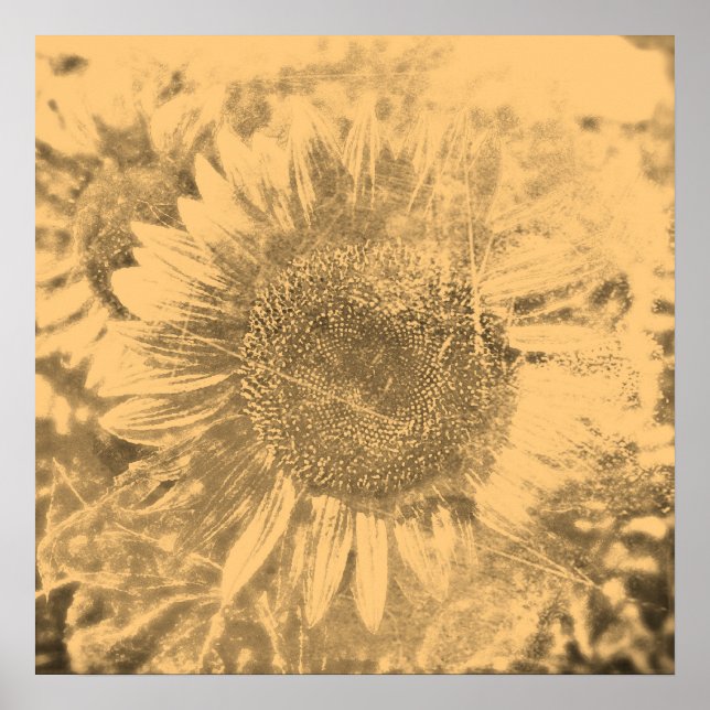 Vintage Sunflower painting artwork #2 - Posters (Front)