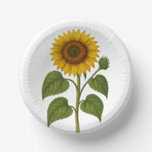 Vintage Sunflower Paper Plate