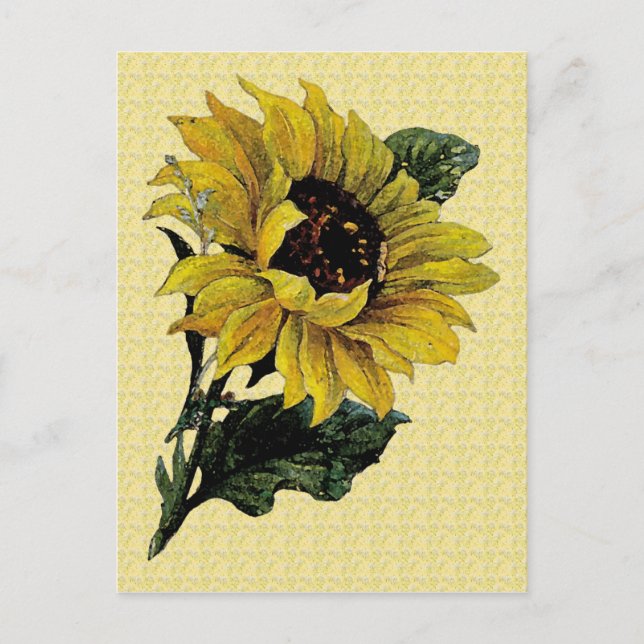 Vintage Sunflower Postcard (Front)