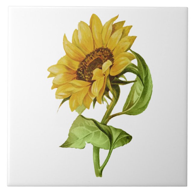 Vintage Sunflower Rustic Floral Tile (Front)