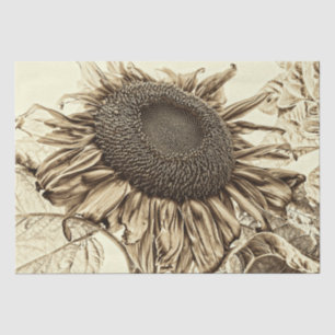 Vintage Sunflower Sepia Tone Old Style Decoupage Tissue Paper