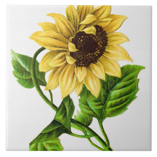 Vintage Sunflower Tile (Front)