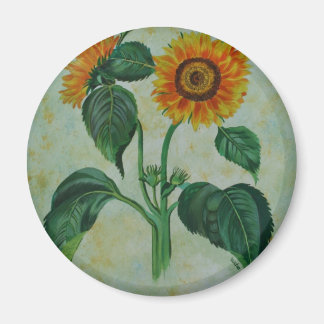 Vintage Sunflowers Botanical Art Magnet