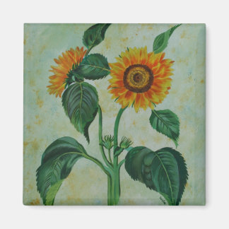 Vintage Sunflowers Botanical Art Magnet