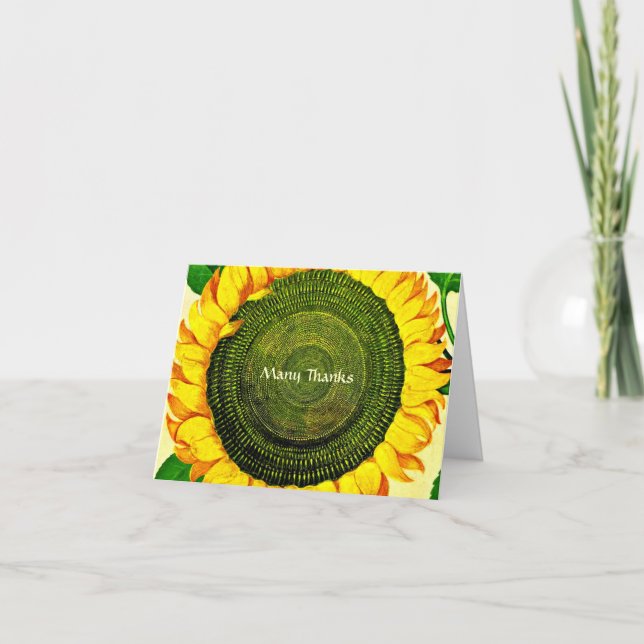 Vintage SunflowerThank You Thank You Card (Front)