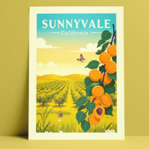 Vintage Sunnyvale California Postcard