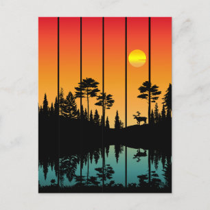 Vintage Sunset Forest Sunrise Scenery Postcard