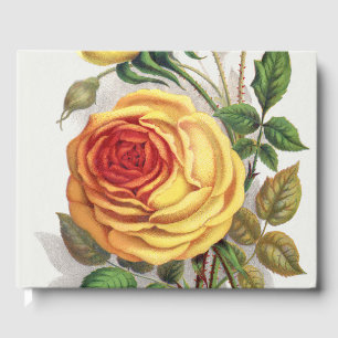Vintage Sunset Rose Yellow & Orange Botanical Art Guest Book