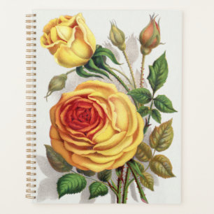 Vintage Sunset Rose Yellow & Orange Botanical Art Planner