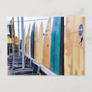 Vintage Surfboards on Montauk Beach Postcard