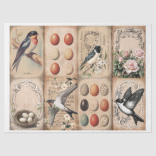 Vintage Swallow and nest with eggs floral Tissue Paper