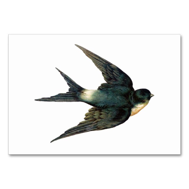 Vintage Swallow Bird Illustration Table Number (Front)