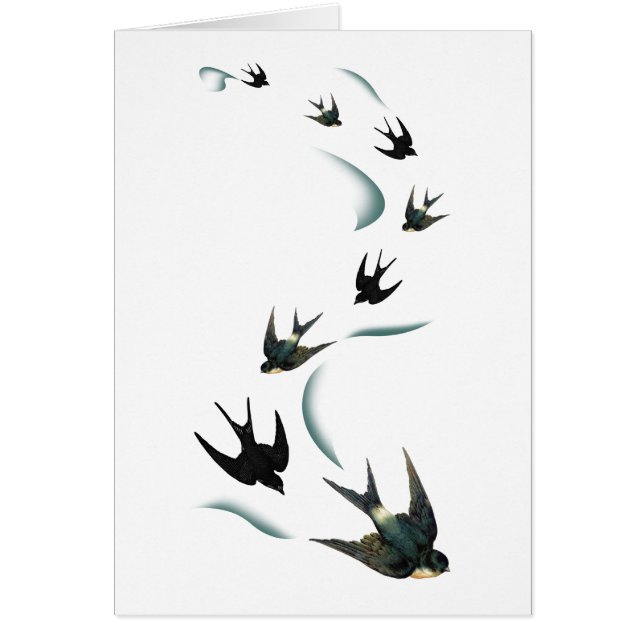 Vintage Swallow Birds Art (Front)