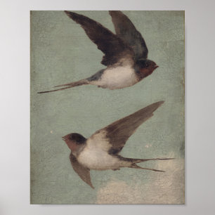 Vintage Swallow I Vintage Painting Poster