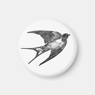 Vintage Swallow small magnet