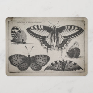 Vintage Swallowtail Butterfly Illustration (60) Invitation