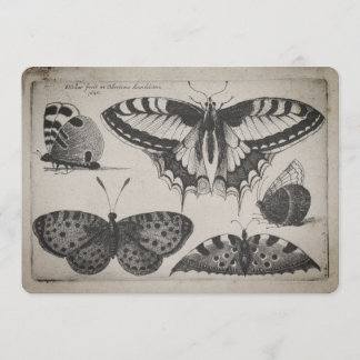 Vintage Swallowtail Butterfly Illustration (60) Invitation