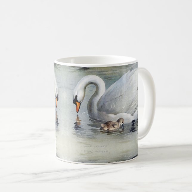 Vintage Swan Birds Cygnets Wildlife Animals Mug (Front Right)