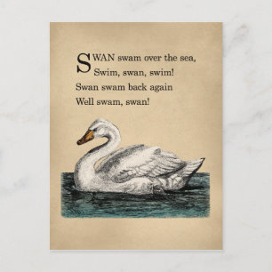 Vintage Swan Tongue Twister Postcard