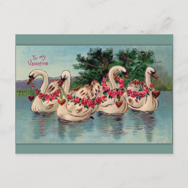 Vintage Swans and Roses Valentine Postcard (Front)