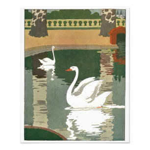 Vintage Swans Reflected in the Water Photo Print