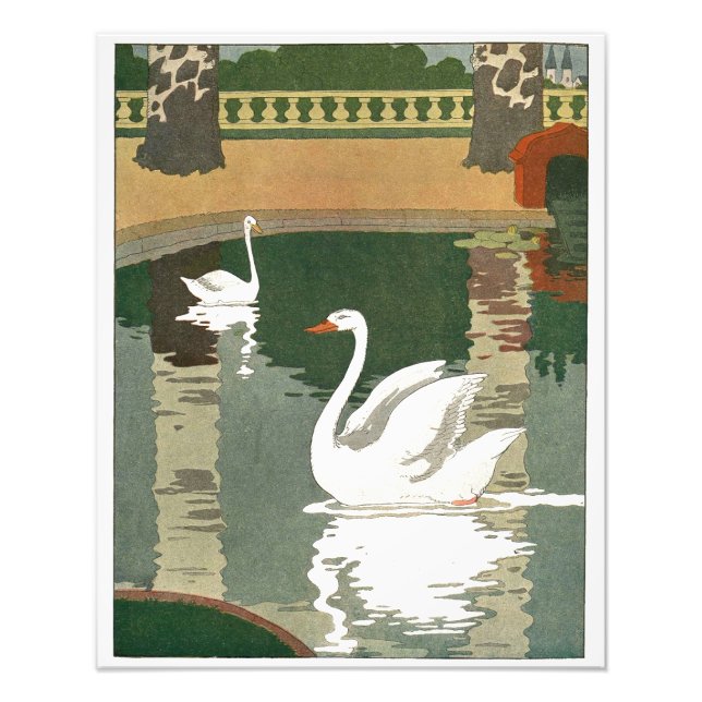 Vintage Swans Reflected in the Water Photo Print (Front)