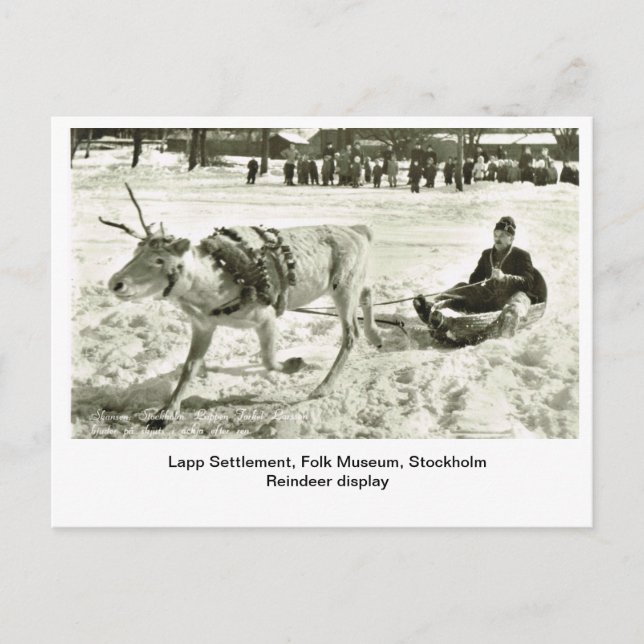 Vintage Sweden, Lapp Settlement, Folk Museum, Postcard (Front)