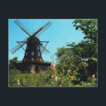 Vintage Sweden, Malmo, Windmill Postcard<br><div class="desc">Vintage Sweden,  Malmo,  Windmill</div>