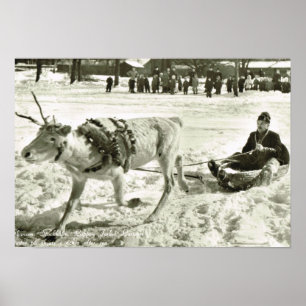 Vintage Sweden, Reindeer sleigh, Folk Museum, Poster