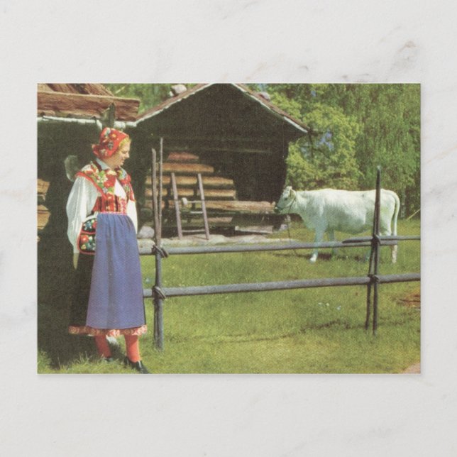 Vintage Sweden,  Traditional farmyard scene Postcard (Front)