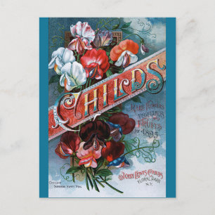 Vintage Sweet Peas Postcard