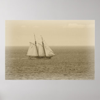 Vintage Swift Sure Poster