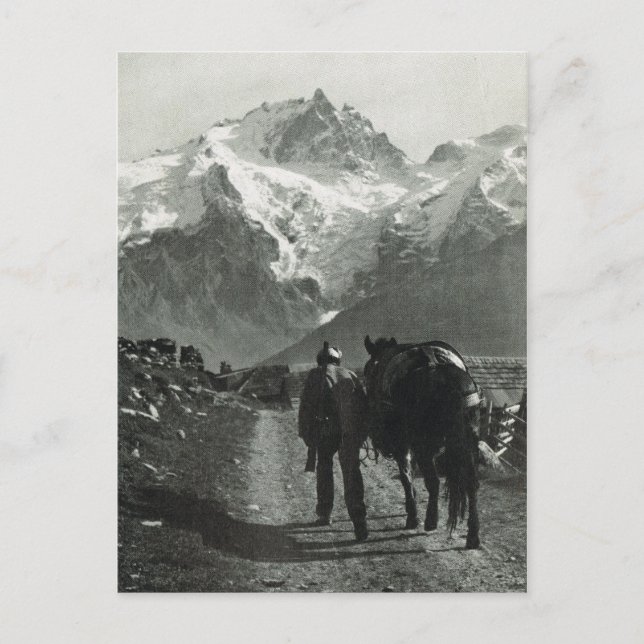 Vintage Switzerland Jungfrau region Postcard (Front)