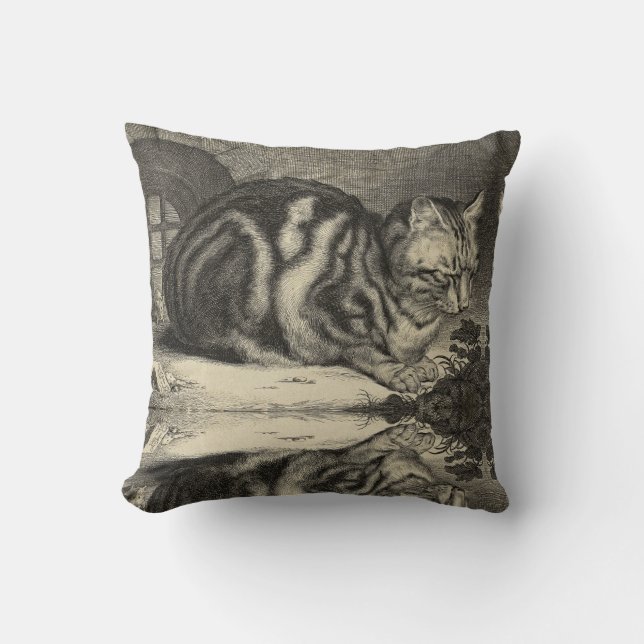 Vintage Tabby Cat Cushion (Front)