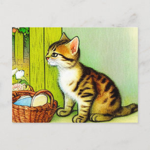 Vintage Tabby Cat Illustration Postcard