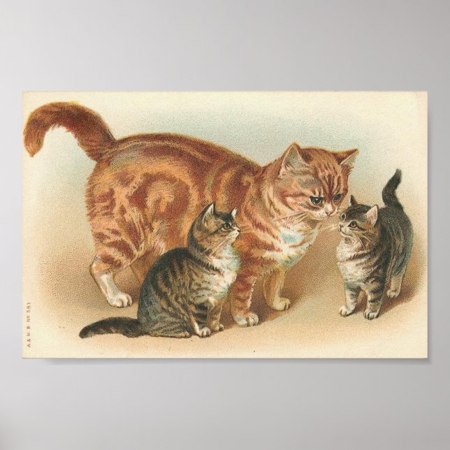 Vintage Tabby Cat With Kittens Poster (Front)