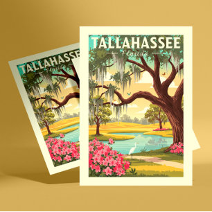 Vintage Tallahassee Florida Postcard